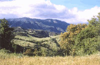 View of Johnson's Pasture